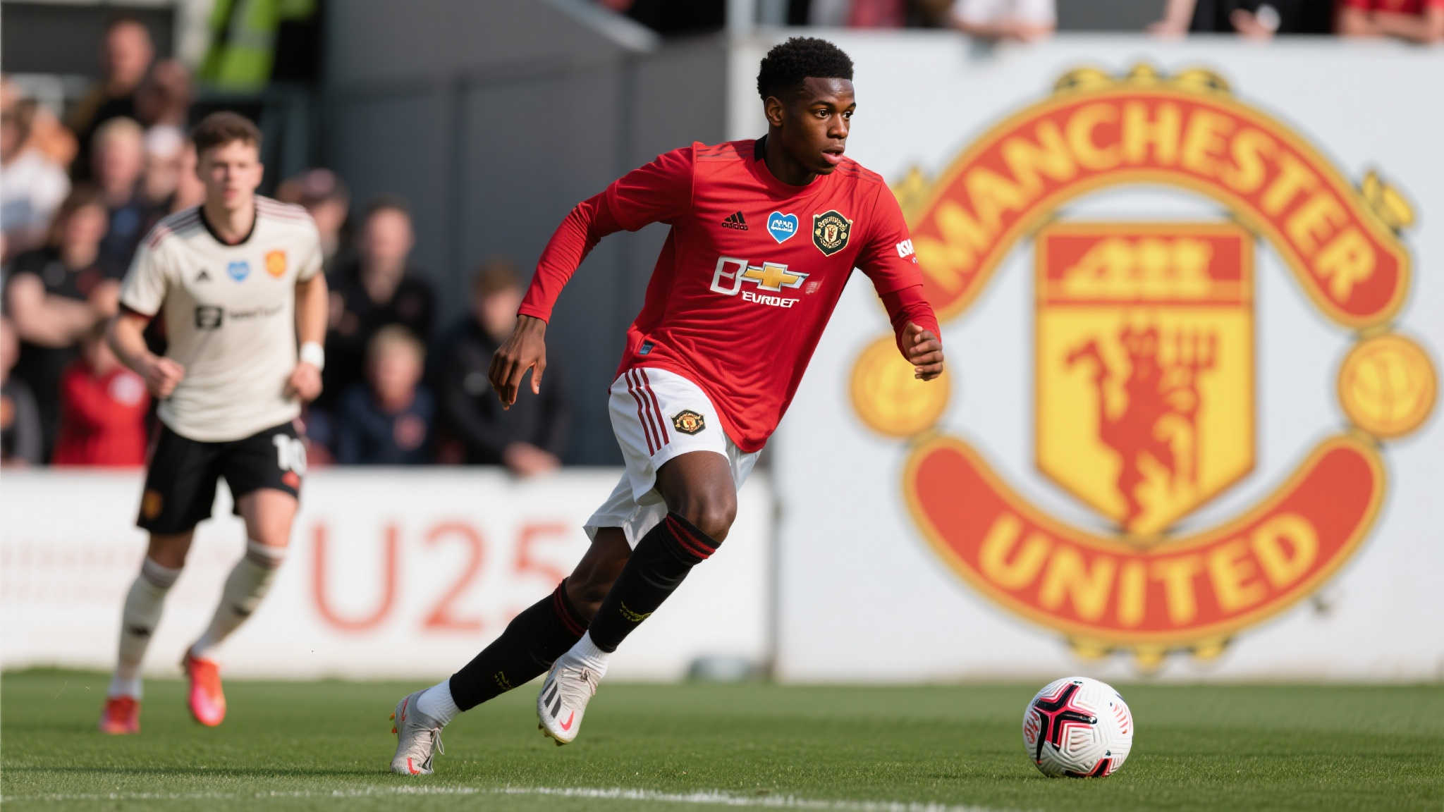 成就了一场 成就了一场